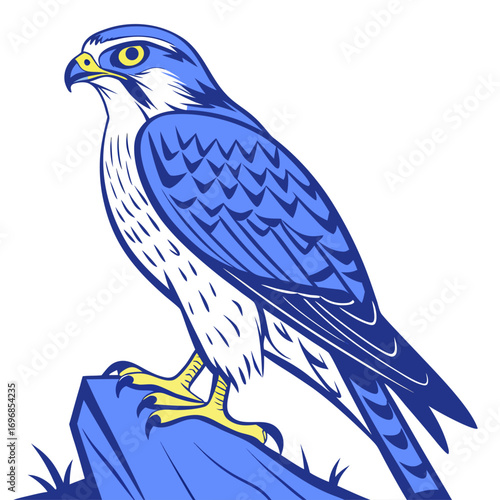 Blue falcon perched on a rock, vector illustration