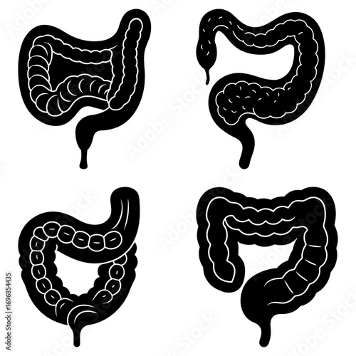 Four anatomical representations of the human colon with varying shapes and internal structures displayed