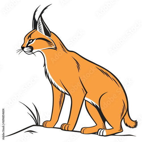 Caracal wild cat sitting on ground with grass