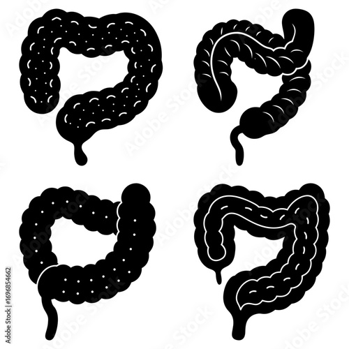 Four black and white illustrations of intestines in different shapes and orientations on a white background