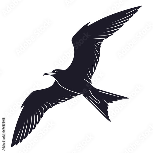 Silhouette of a dark seagull in flight with wings outstretched on a white background bird flying