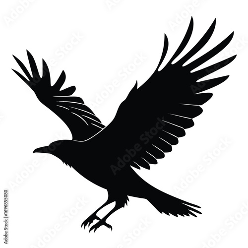 Silhouette of a black crow in flight with wings spread wide on a white background raven bird