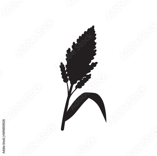 Wheat or barley - stalk (triple ears).