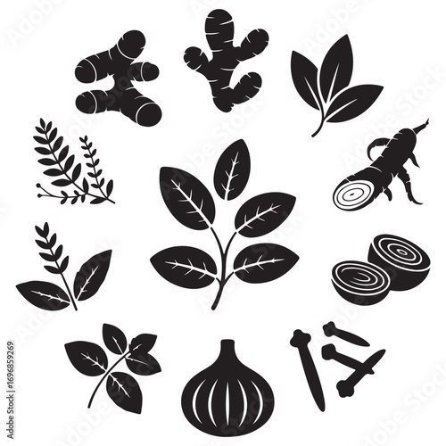 Circular arrangement of various black and white botanical illustrations of herbs and spices for natural remedies and cooking