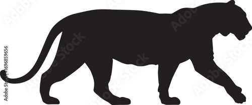 Majestic royal bengal tiger silhouette on white background