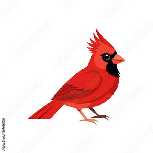 A red bird with a red beak and a black beak