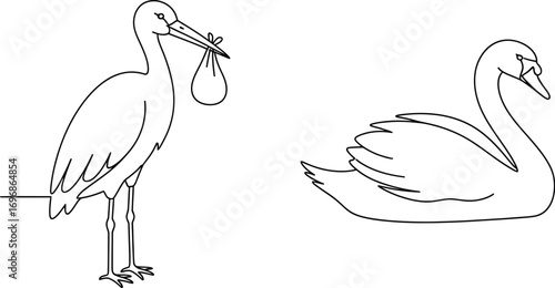 Stork and swan line art vector illustration drawing outline