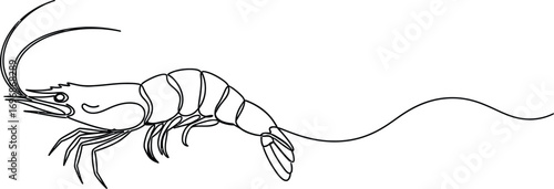 Elegant line drawing of a shrimp swimming gracefully in clear water