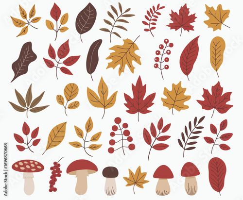 A collection of colorful autumn leaves, berries, and mushrooms isolated on a white background