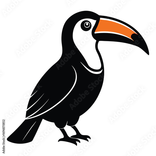 Toucan Bird with Orange and White Beak on White Background animal wildlife
