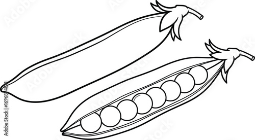 Fresh peas in a pod, one opened to reveal round seeds, simple line art illustration