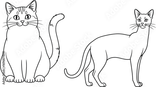 Two outline drawings of domestic cats, one sitting and one standing, showcasing different feline poses.