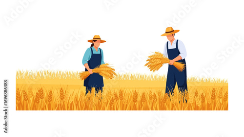 Harvest Harmony: A man and a woman diligently work together amidst a sun-drenched wheat field, their teamwork and dedication perfectly embodying the essence of the harvest season.