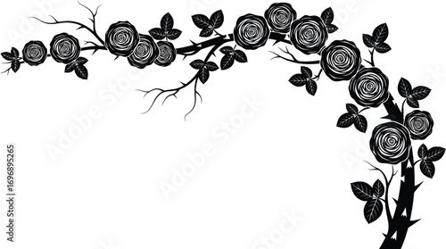 Black and white illustration of a rose bush with multiple flowers and leaves, isolated on white.