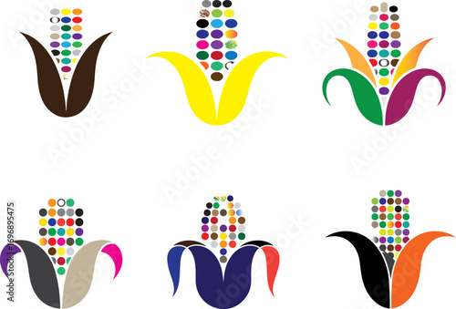 Colorful corn cob designs maize agriculture