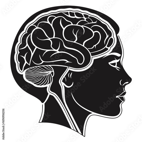 Human Brain Silhouette with Detailed Inner Structure Vector head profile