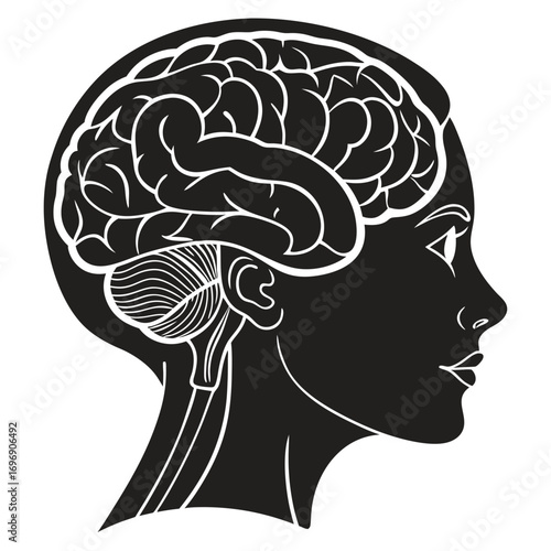 Human Brain Silhouette with Detailed Inner Structure Vector head profile
