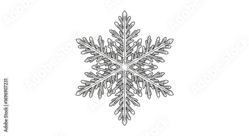 Intricate black and white snowflake design with detailed patterns
