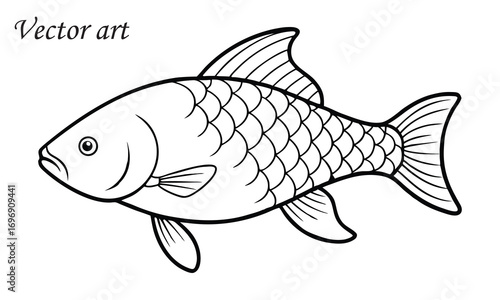 common carp fish line art vector illustration
