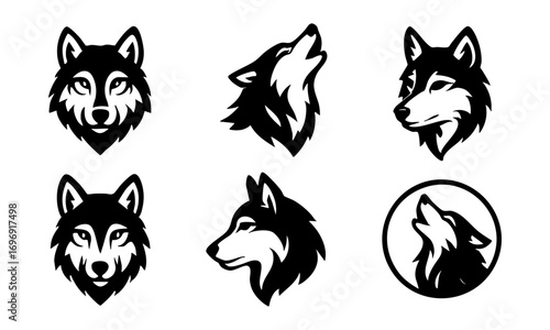 Collection of wolves. Wildlife and animals, vector illustration