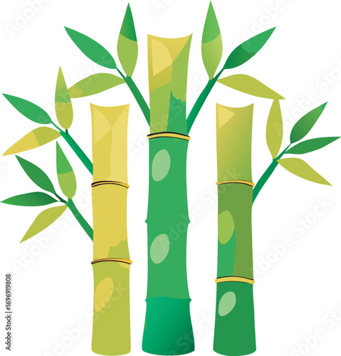 illustration depicts three stalks of bamboo with green leaves