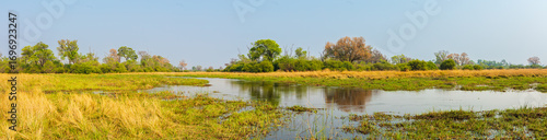 Landscape in the Okavango Delta in panorama format; The Khwai river in Moremi Game Reserve 