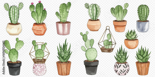 A collection of watercolor illustrations featuring various cacti and succulents in decorative pots and terrariums.