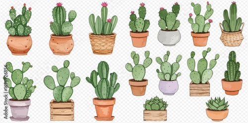 A charming collection of watercolor illustrations featuring various green cacti and succulents in decorative pots.
