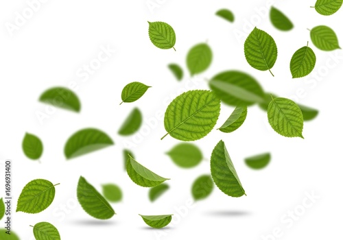 Green leaves falling isolated on white background