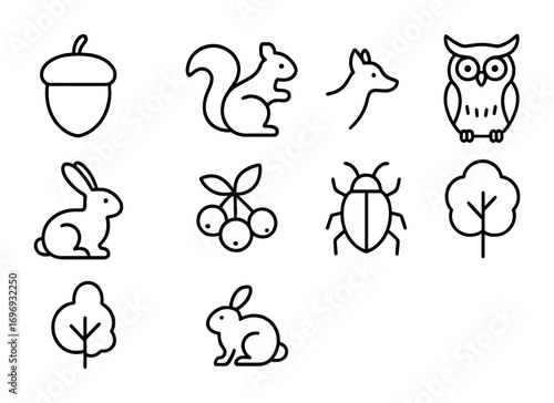 Forest Food Chain Icons. Outline icon set of forest food chain: acorn, squirrel, fox, owl, rabbit, berries,
