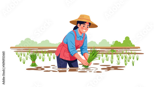 Farmer planting rice seedling: A dedicated farmer diligently planting rice seedlings in a vibrant paddy field, embodying the essence of traditional farming practices.