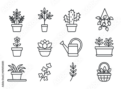 Farmhouse Plant Icons. Outline icon set of farmhouse plants: potted fern, olive tree, cactus, hanging plant,