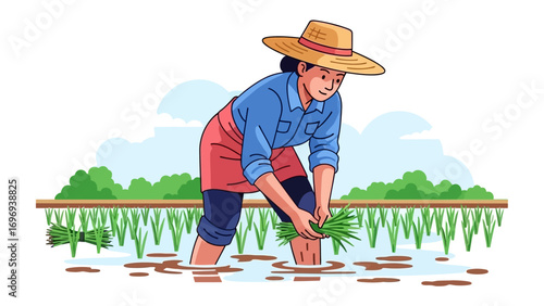 Cultivating Rice: A graphic depiction captures a diligent individual in the paddy, meticulously planting seedlings amid a verdant landscape, with a commitment to a time-honored agrarian practice.