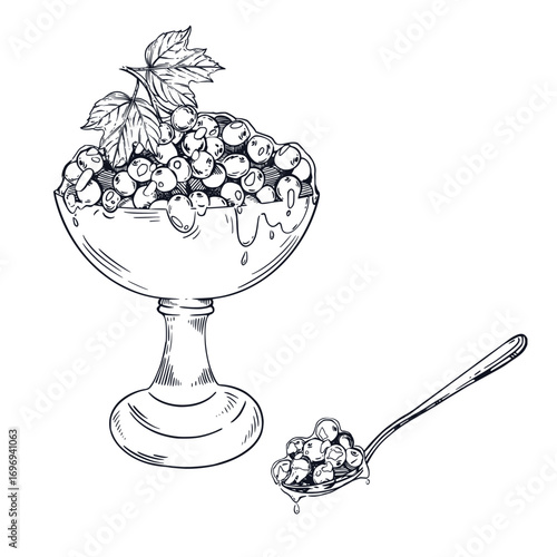 Vector composition of a vase of viburnum jam and a spoon of jam. Everything is hand-drawn in ink and translated into vector. The illustration is suitable for printing on fabric, paper, packaging.