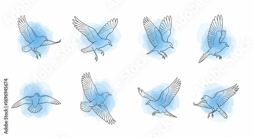 A dynamic collection of 8 minimalist line art illustrations depicting a bird in various stages of flight with subtle watercolor accents