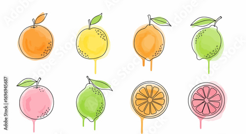 Vibrant collection of eight minimalist line art citrus fruits, featuring hand-drawn outlines and watercolor washes, isolated on a clean white background for fresh design concepts