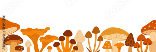 set of autumn mushrooms with different shapes and tones arranged as decorative border in botanical vector style for seasonal nature design projects