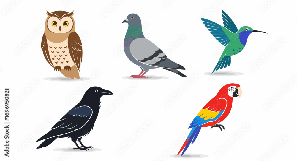 Fototapeta premium A colorful collection of diverse bird species illustrations, featuring an owl, pigeon, hummingbird, crow, and macaw parrot isolated on a white background