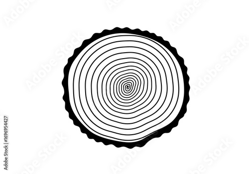 Detailed Cross Section of Tree Trunk Showing Growth Rings.