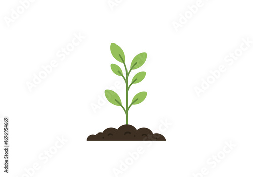 Small Green Plant Growing in Soil.