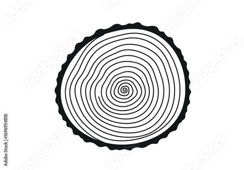 Tree Rings Cross Section Detailed View.