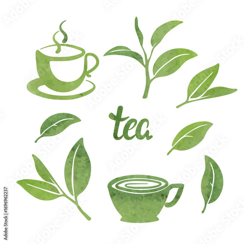 Tea set. Watercolor tea leaves and cups vector illustration