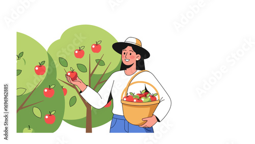 Apple Harvest: A sun-kissed scene unfolds as a woman, basks in the harvest season, handpicking succulent apples from trees, her basket brimming with nature's bounty.