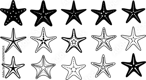 illustration Starfish silhouette, Starfish icon, Starfish SVG, Starfish outline, Tropical starfish SVG, Starfish bundle set