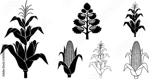 Corn stalk svg, Corn stalk silhouette, Corn tree svg, Corn tree silhouette, Corn svg, Corn silhouette, Corn stalk vector set