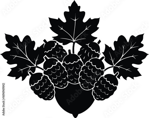 Autumn Acorn Cluster Silhouette Illustration | Autumn Acorn Branch Vector Design