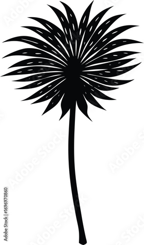 Papyrus Stalk Silhouette Plant Art | Papyrus Plant Vector Illustration