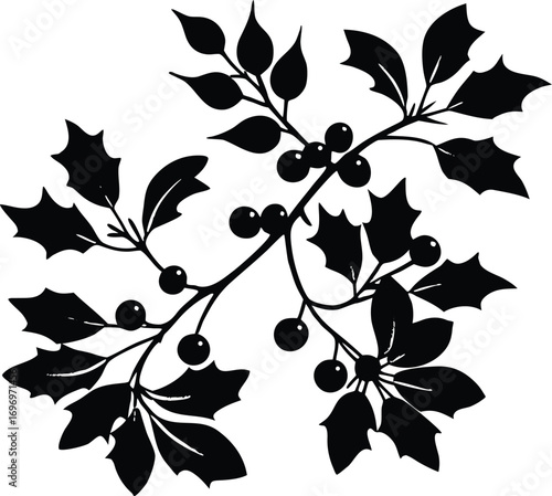 Winter Mistletoe Silhouette Art | Mistletoe Winter Plant Vector Illustration