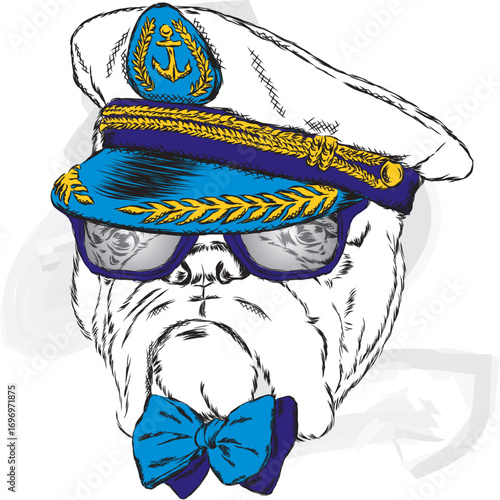 A pedigreed dog with glasses, a tie and a cap. Vector illustration. Captain, sailor.