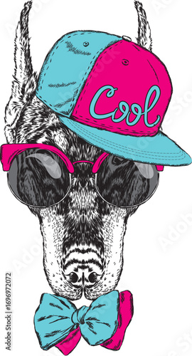 Puppy in cap and tie. Dog vector.